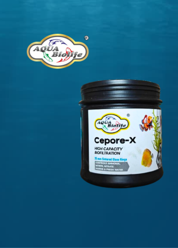 Cepore-X