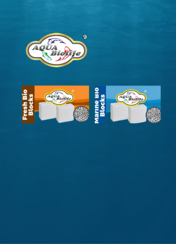Bio Blocks (Fresh Water and Salt Water)